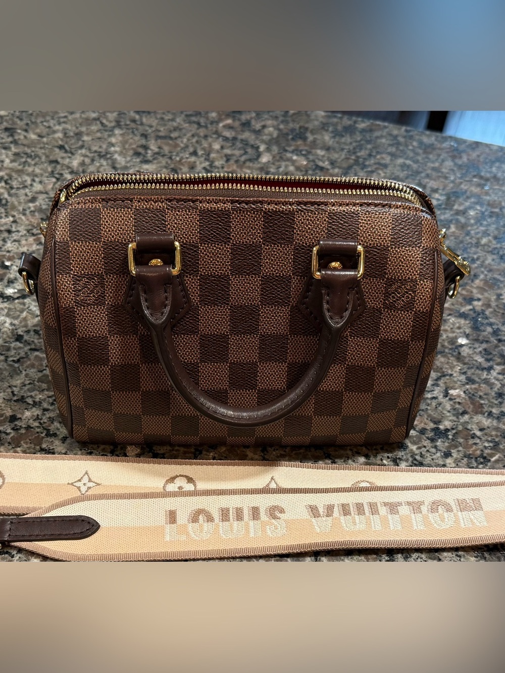 Authentic Louis Vuitton Brown Damier Ebene Mini Speedy 20 with Jacquard Strap